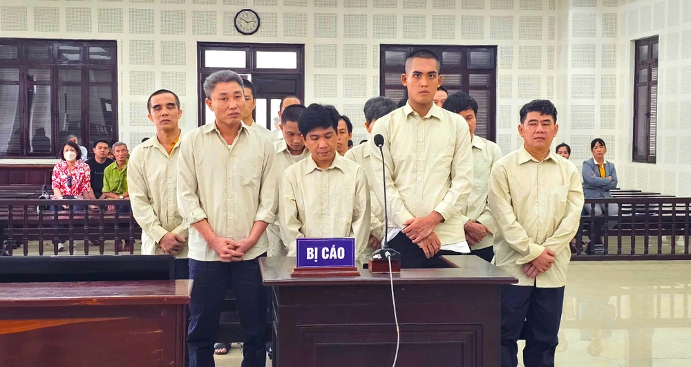 sách giáo khoa giả