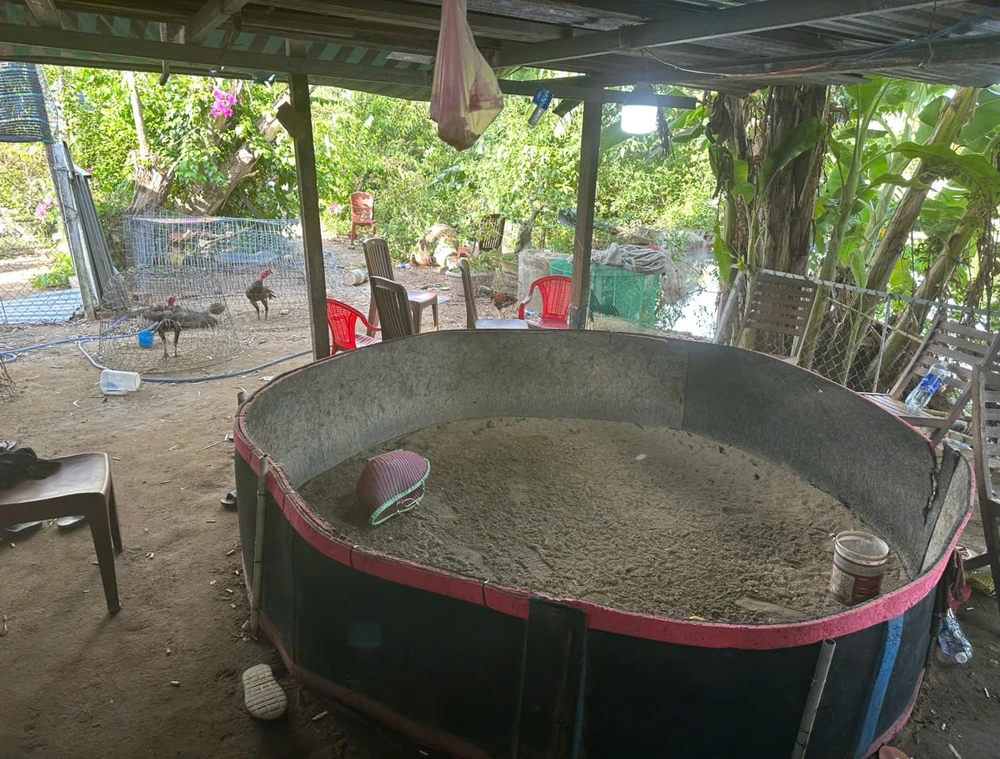 tụ điểm đá gà