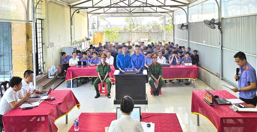 ma-tuy-ha.jpg
