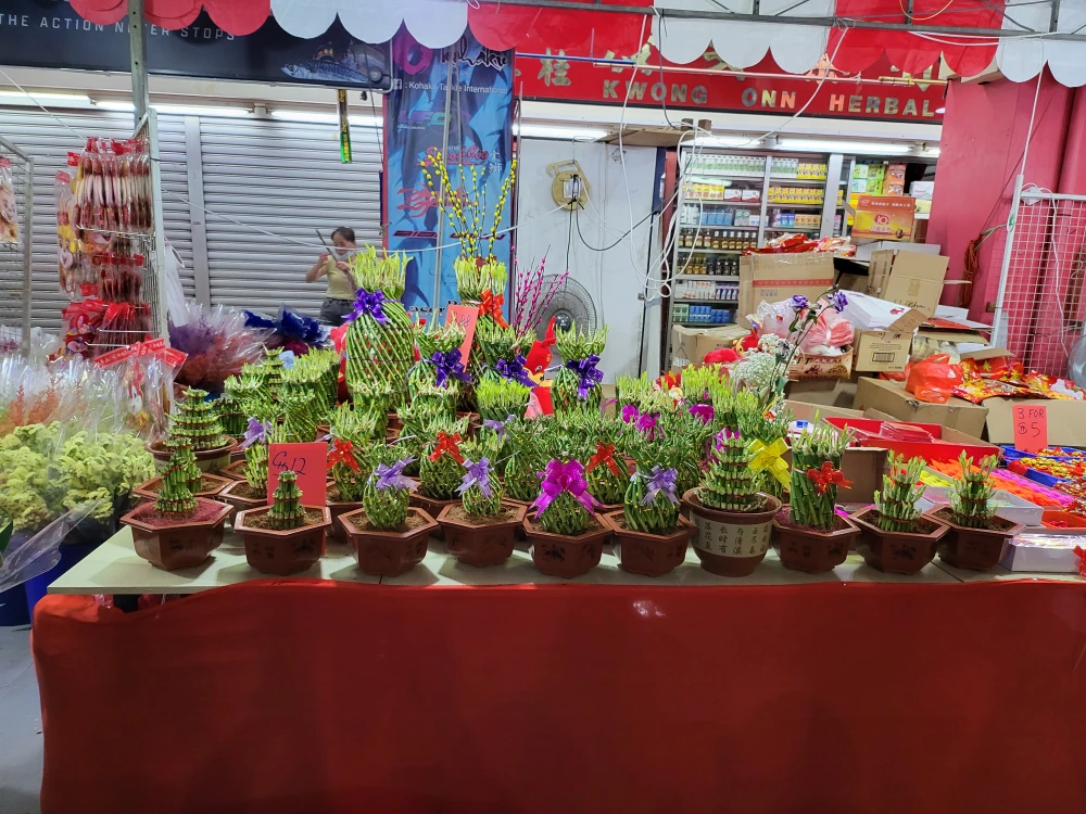 Cây cảnh được bày bán giống khu chợ hoa Xuân ở Việt Nam