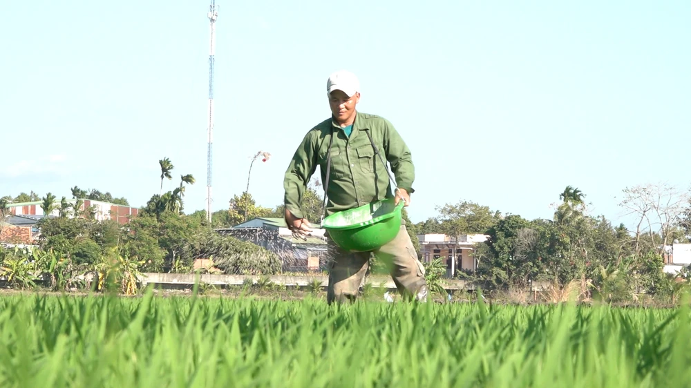 cánh đồng đắk lắk.png