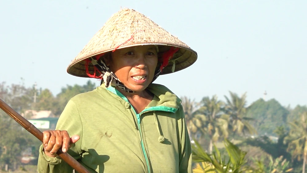 lúa nước nông dân.png