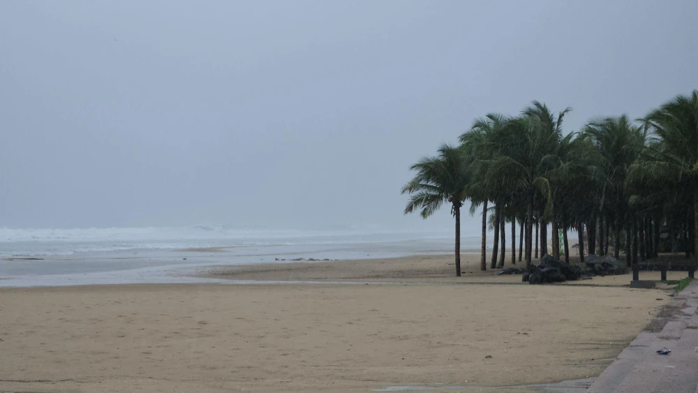 Sóng cuộn trắng xóa cao 1 - 2 m ở khu vực biển Đà Nẵng. Ảnh: TẤN VIỆT