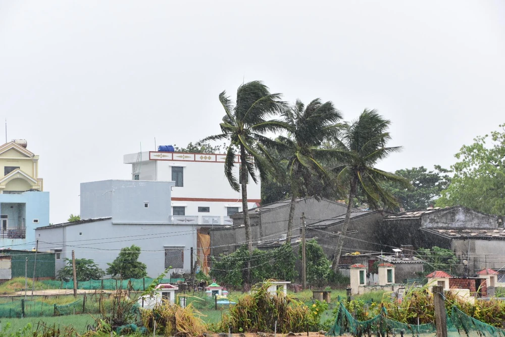 Gió lớn trên đảo Lý Sơn. Ảnh: THANH NHẬT