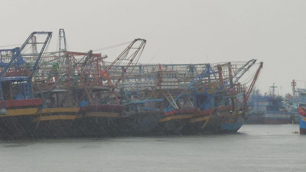 Tàu thuyền về neo đậu tại cảng để tránh bão. Ảnh: TẤN VIỆT