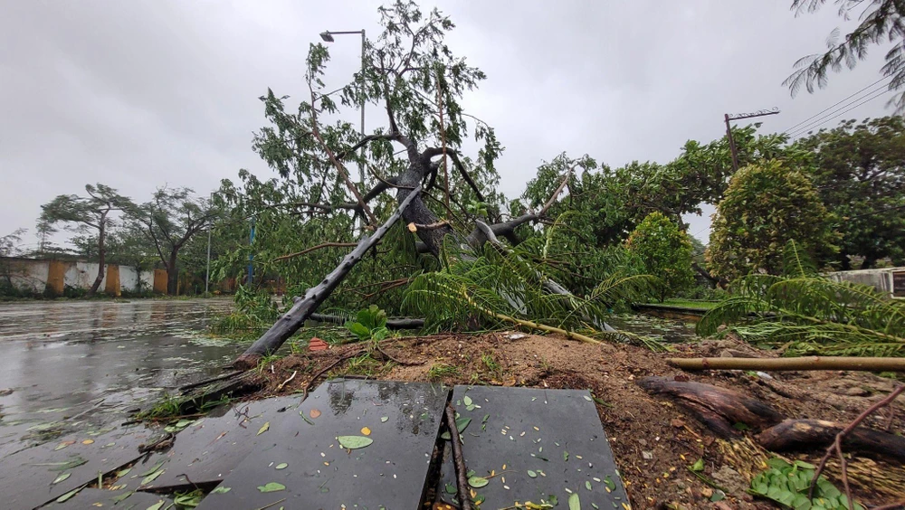 Bão số 4: Đã đổ bộ đất liền, Đà Nẵng- Quảng Nam bị bão quật tơi tả ảnh 22 Bão số 4: Đã đổ bộ đất liền, Đà Nẵng- Quảng Nam bị bão quật tơi tả ảnh 22