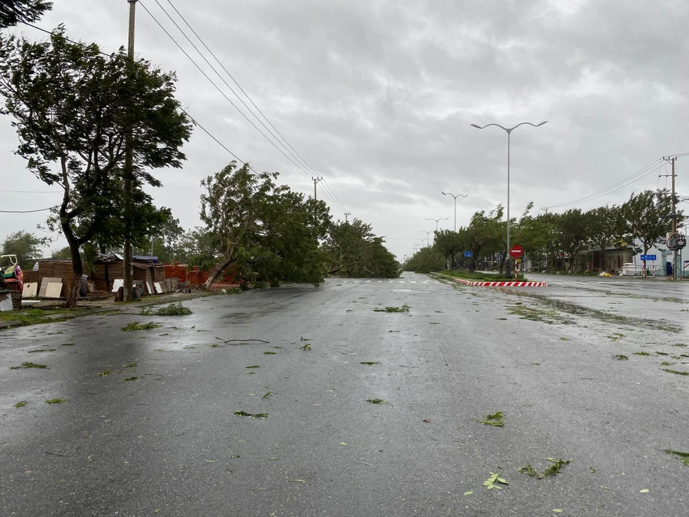 Nhiều cây xanh bị ngã đổ do bão quật. Ảnh: HẢI HIẾU Nhiều cây xanh bị ngã đổ do bão quật. Ảnh: HẢI HIẾU