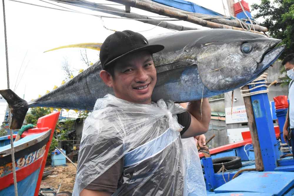 Niềm vui của ngư dân Bình Định khi trúng mẻ cá ngừ đại dương. Ảnh: MINH THU Niềm vui của ngư dân Bình Định khi trúng mẻ cá ngừ đại dương. Ảnh: MINH THU