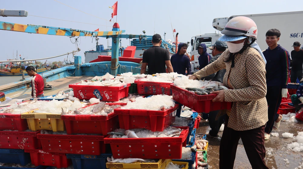 Niềm vui của ngư dân sau mỗi chuyến đi biển là đánh bắt được nhiều hải sản. Ảnh: KL