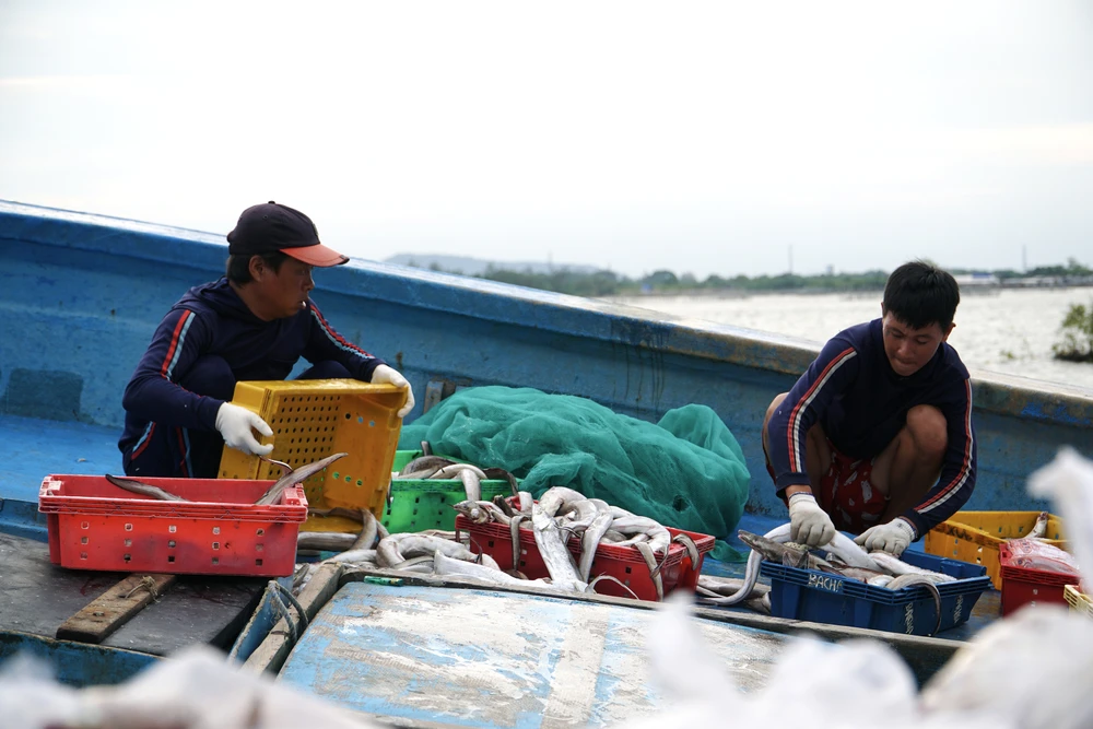 Cần có biện pháp để cân bằng sinh kế của người dân và bảo vệ nguồn lợi hải sản một cách bền vững. Cần có biện pháp để cân bằng sinh kế của người dân và bảo vệ nguồn lợi hải sản một cách bền vững.