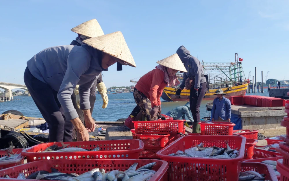 Người dân mua bán cá ở khu vực cảng Cửa Việt, huyện Gio Linh, Quảng Trị. Ảnh: TẤN VIỆT