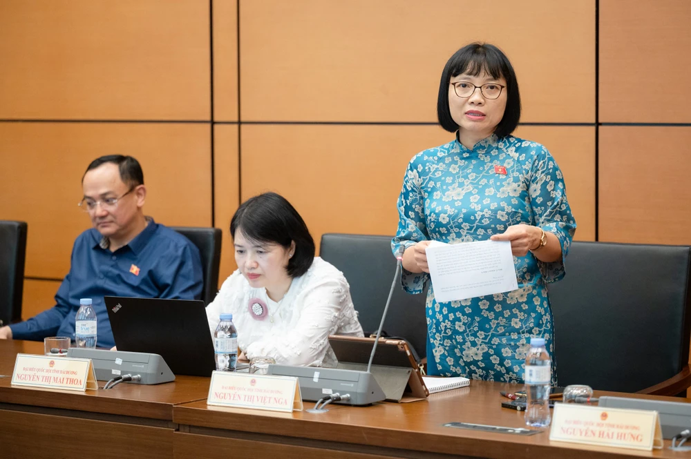 Giám sát việc thí điểm khu thương mại tự do Đà Nẵng để giảm rủi ro