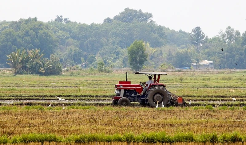 TP.HCM có chỉ đạo mới về đề án xây dựng 5 huyện lên quận