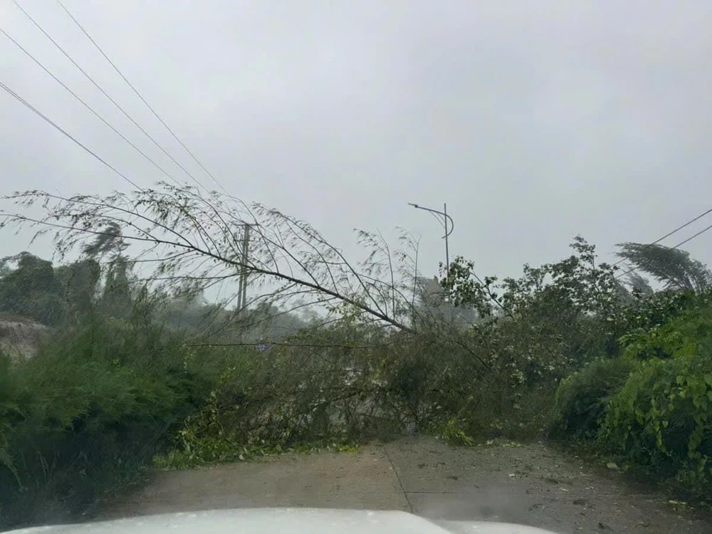 Bão số 3 làm 5 người chết, 13 người mất tích, 78 người bị thương... ảnh 5