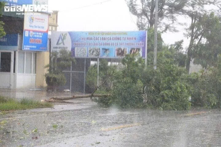 Bão số 3 làm 5 người chết, 13 người mất tích, 78 người bị thương... ảnh 7