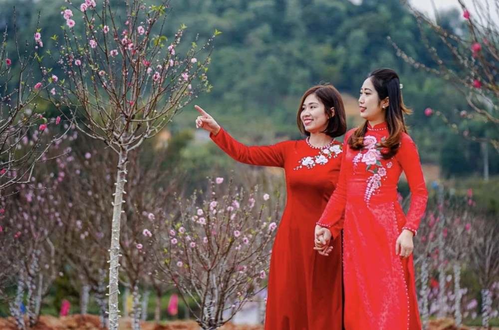 Chốt nghỉ Tết Nguyên đán Ất Tỵ 9 ngày liên tục