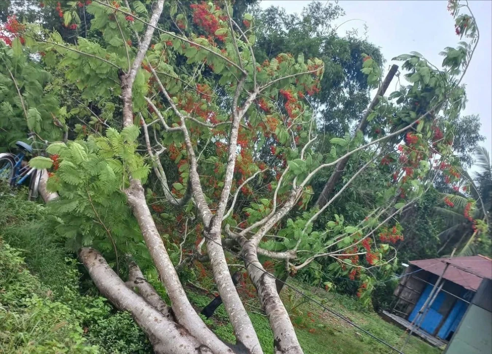 2 thanh niên đi xe máy tử vong do va trúng dây điện đứt sau mưa điện giật tử vong