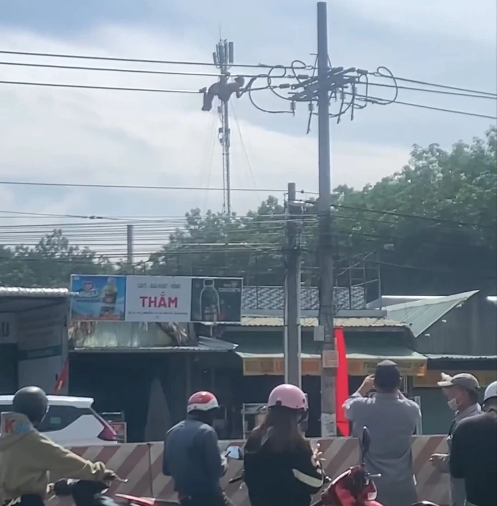 đu dây diện (2).jpg