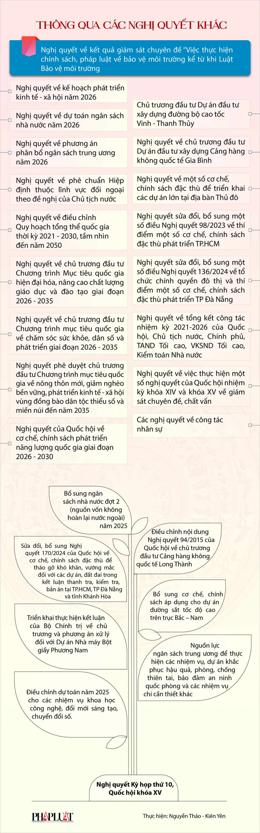 infographic-nhung-dau-an-noi-bat-ve-lap-phap-cua-ky-hop-thu-10-quoc-hoi-khoa-xv-3.png