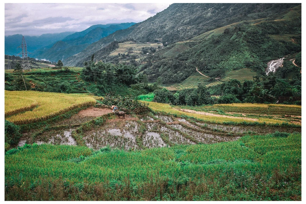 #Mytour: Kham pha ve dep dat nuoc trong hanh trinh toi Sa Pa hinh anh 8
