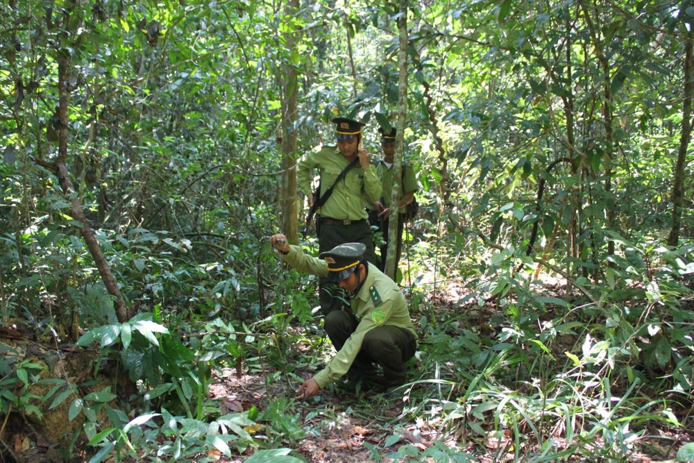 Trong cuộc họp với Bộ GTVT, các bộ, ngành đều ghi nhận nỗ lực của Đồng Nai trong công tác bảo vệ rừng và các giá trị văn hóa lịch sử tại Khu bảo tồn Thiên nhiên - Văn hoá Đồng Nai.
