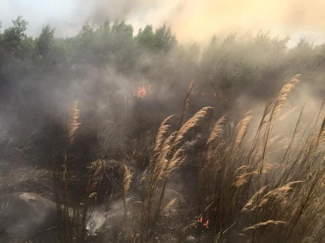 Cháy lớn trên Khu di tích núi Chứa Chan ảnh 2