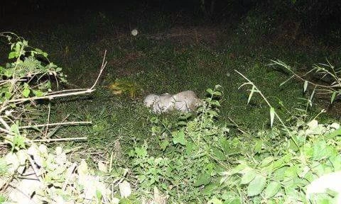 Hiện trường nơi phát hiện thi thể của cô gái. Ảnh: CTV