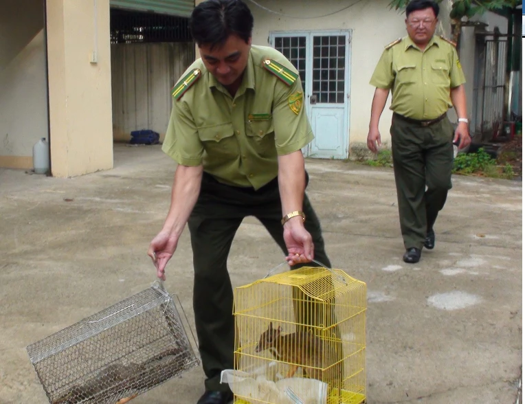 Các cá thể động vật hoang dã quý hiếm bị buốn bán. 