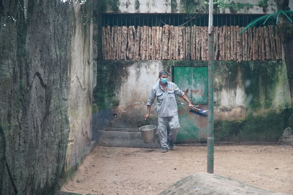 Cận cảnh quy trình phòng dịch A/H5N1 cho 'chúa sơn lâm' tại Thảo Cầm Viên Sài Gòn