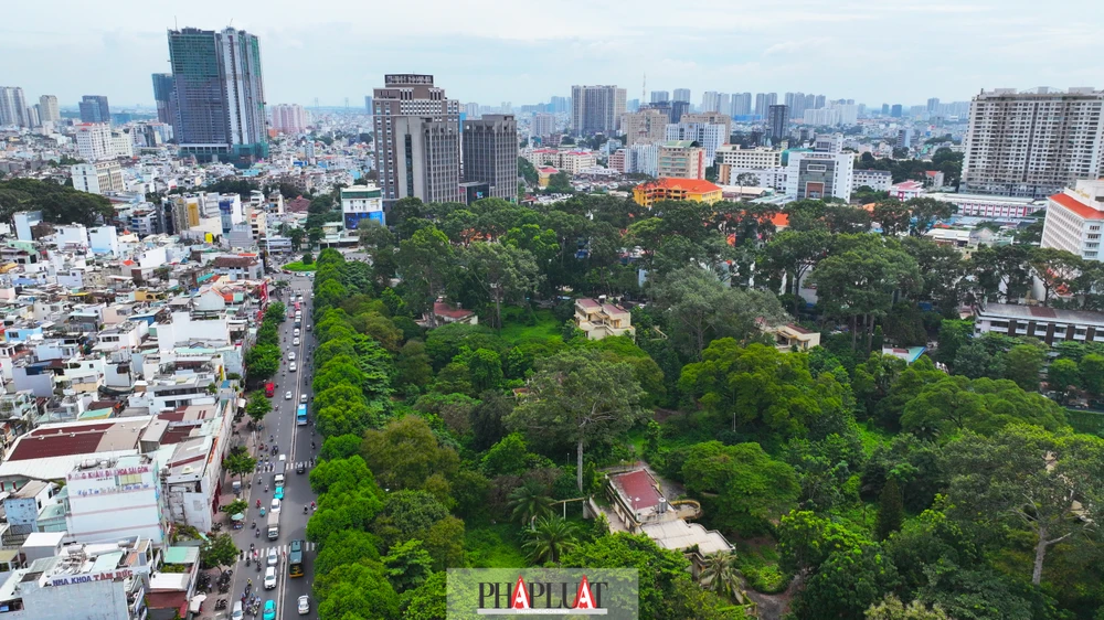 Các căn biệt thự nằm giữa rừng cây gần trung tâm TP.HCM, trong đó có nhiều cây cổ thụ tuổi đời trên dưới 50 năm. Ảnh: Nguyễn Tiến