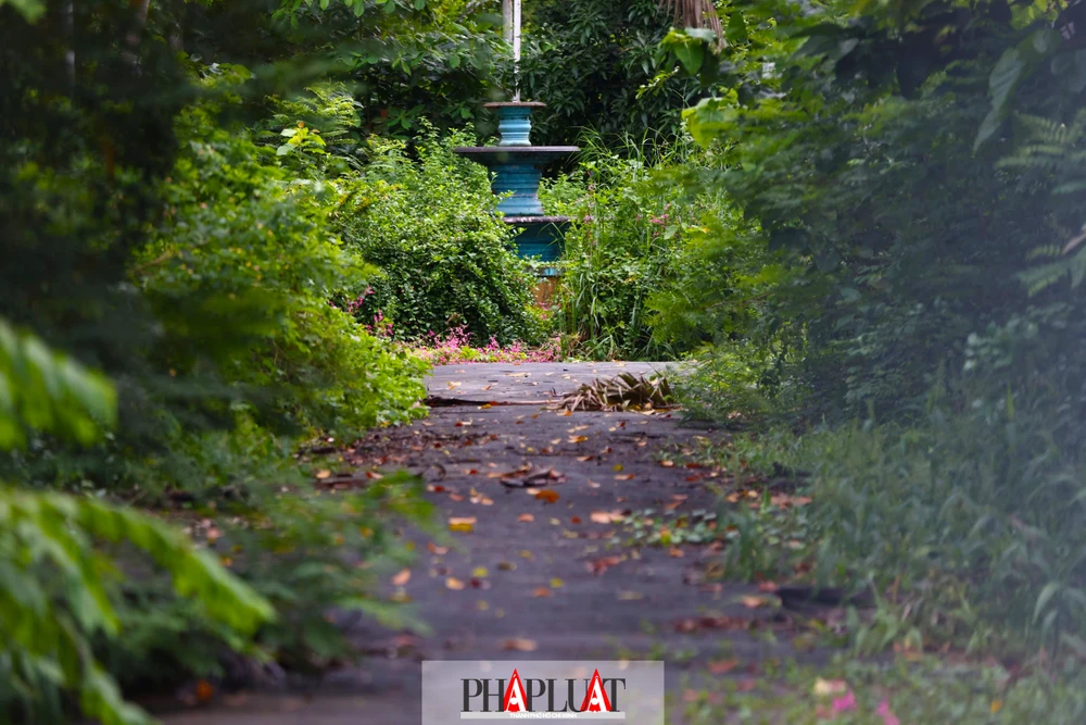 Lối vào cổng chính khu biệt thự vắng vẻ, hai bên đường phủ đầy cỏ dại, cây cối mọc um tùm. Ảnh: Nguyễn Tiến