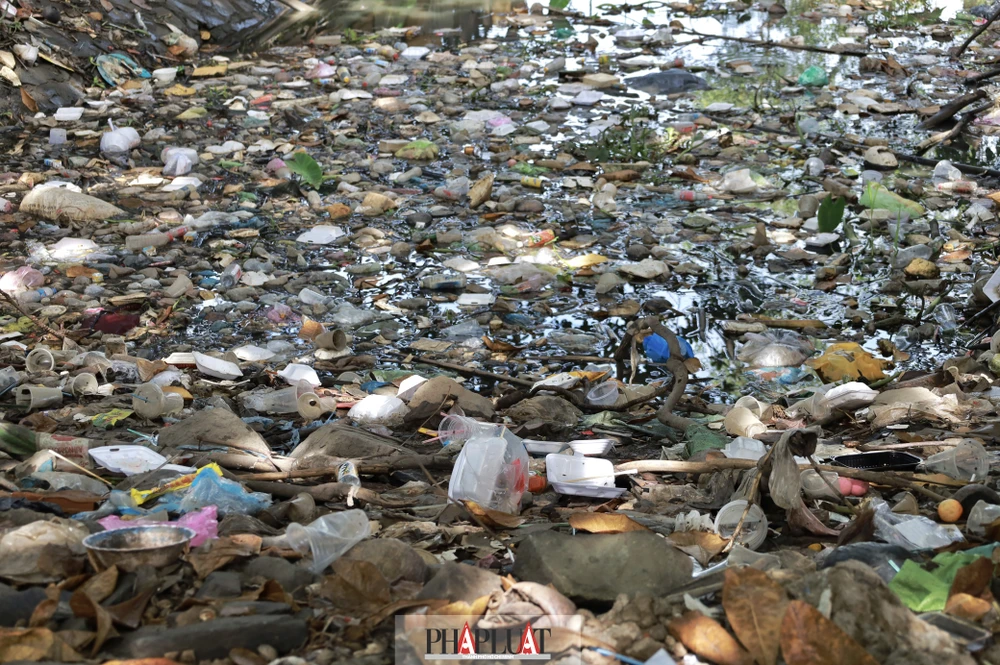 cong-vien-ven-song-sai-gon (2).jpg