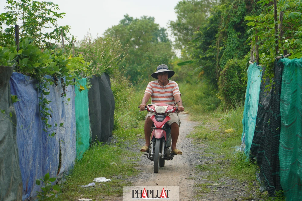 metro-ben-thanh-tan-kien (10).jpg