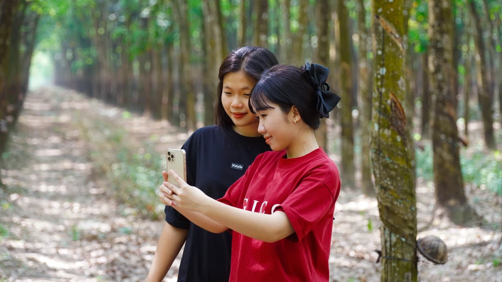 Rừng cao su (22).jpg