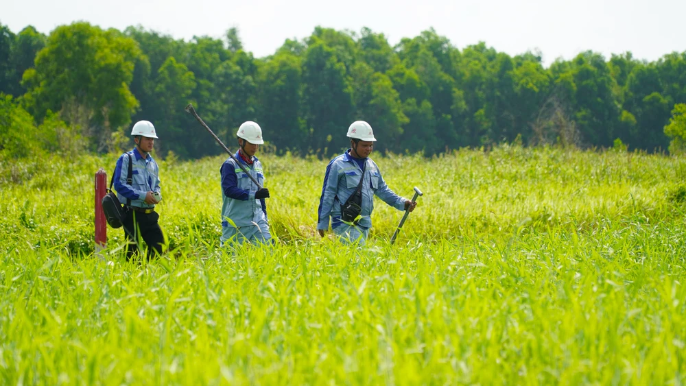cao tốc TP.HCM - Mộc Bài (26).jpg