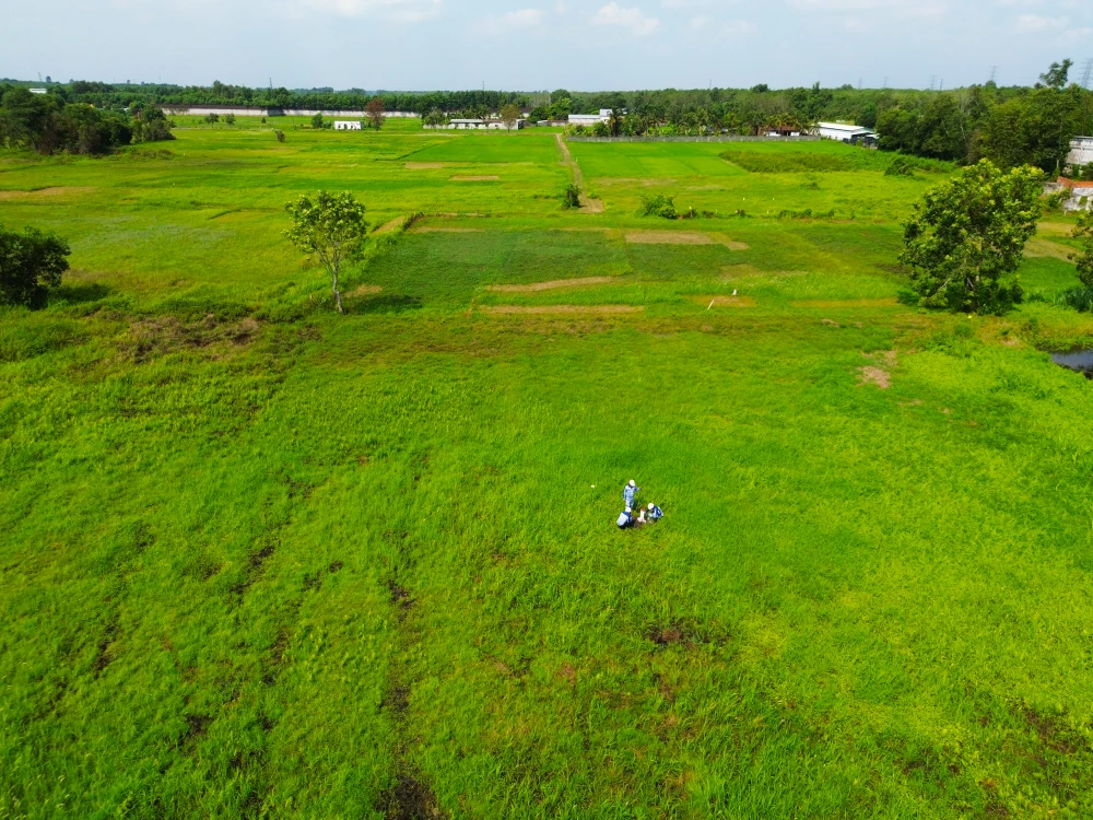 cao tốc TP.HCM - Mộc Bài (28).jpg