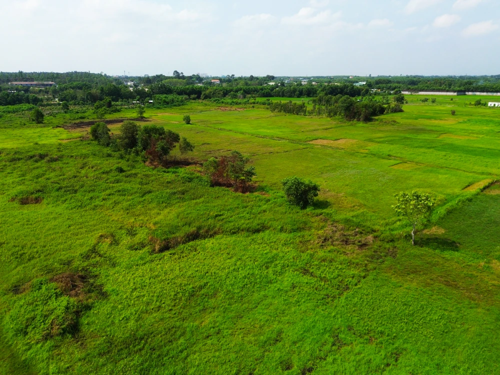 cao tốc TP.HCM - Mộc Bài(30).jpg