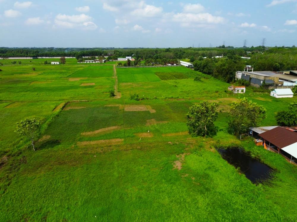 cao tốc TP.HCM - Mộc Bài (31).jpg