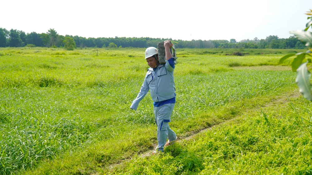 cao tốc TP.HCM - Mộc Bài (6).jpg