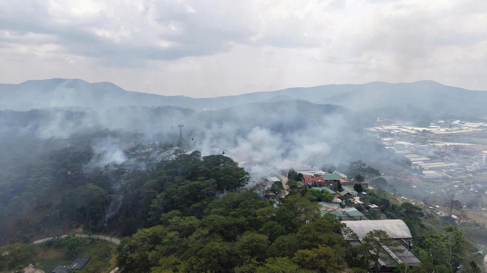 cáp treo Đà Lạt (1).jpg