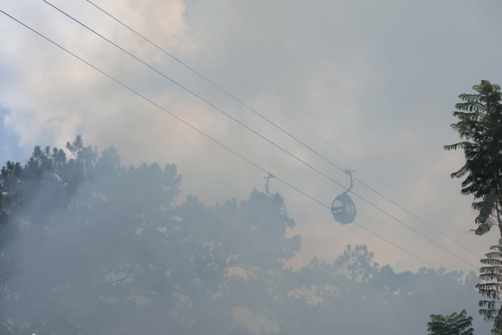Cháy rừng thông-3.jpg