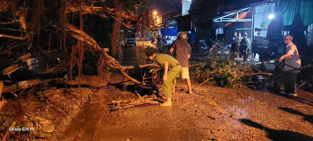 huyện Đạ Huoai (2).jpg