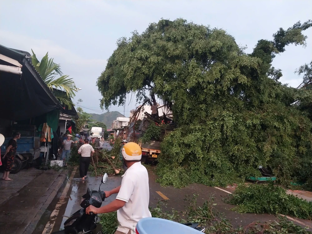 huyện Đạ Huoai (3).jpg