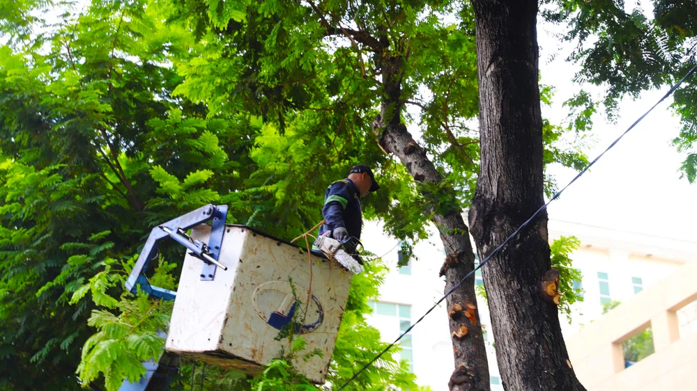 thi công khán đài (2).jpg