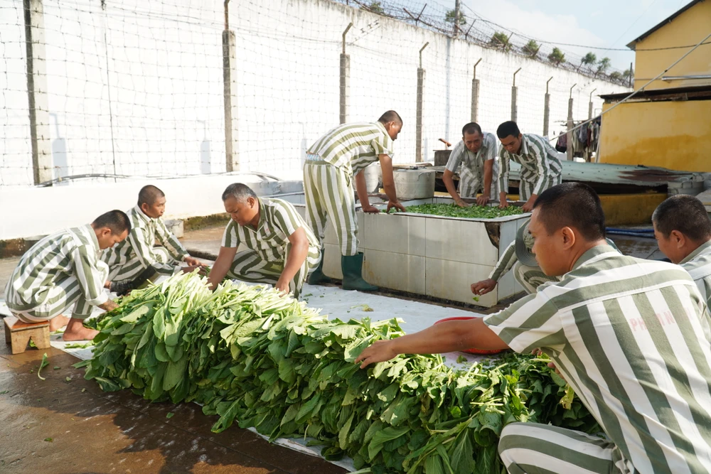 Trại giam Xuyên Mộc (38).JPG