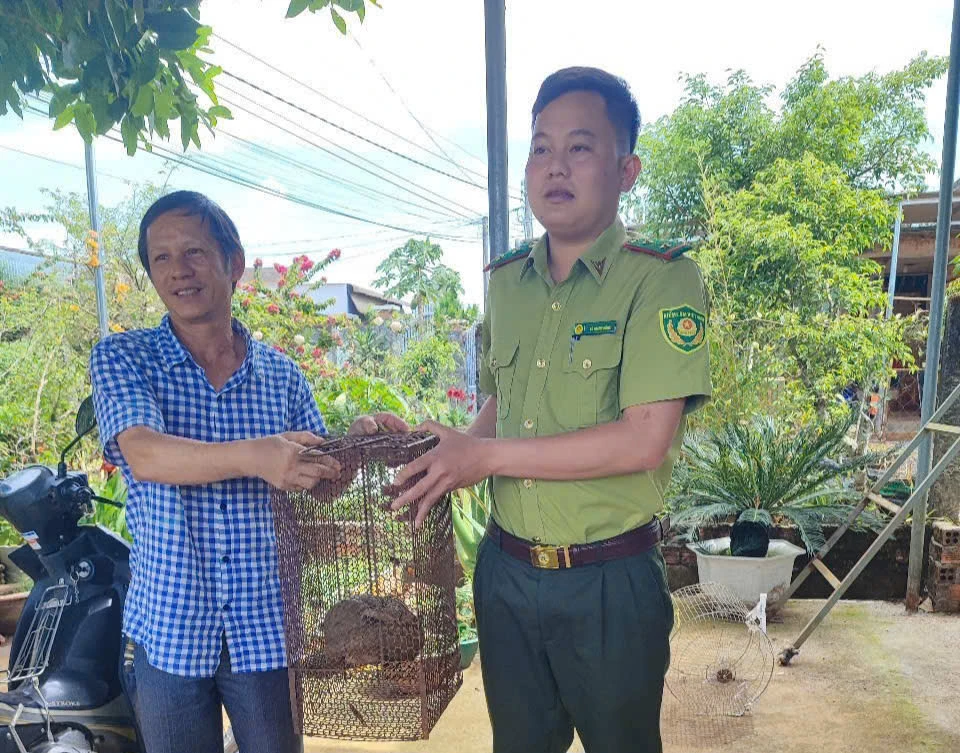 Tê tê quý hiếm-2.jpg