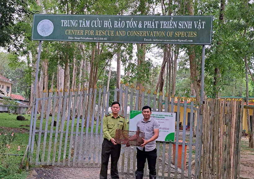 Tê tê quý hiếm-6.jpg