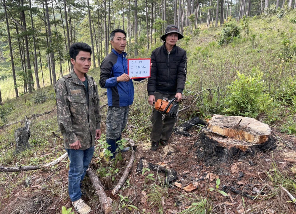 rừng phòng hộ (2).png