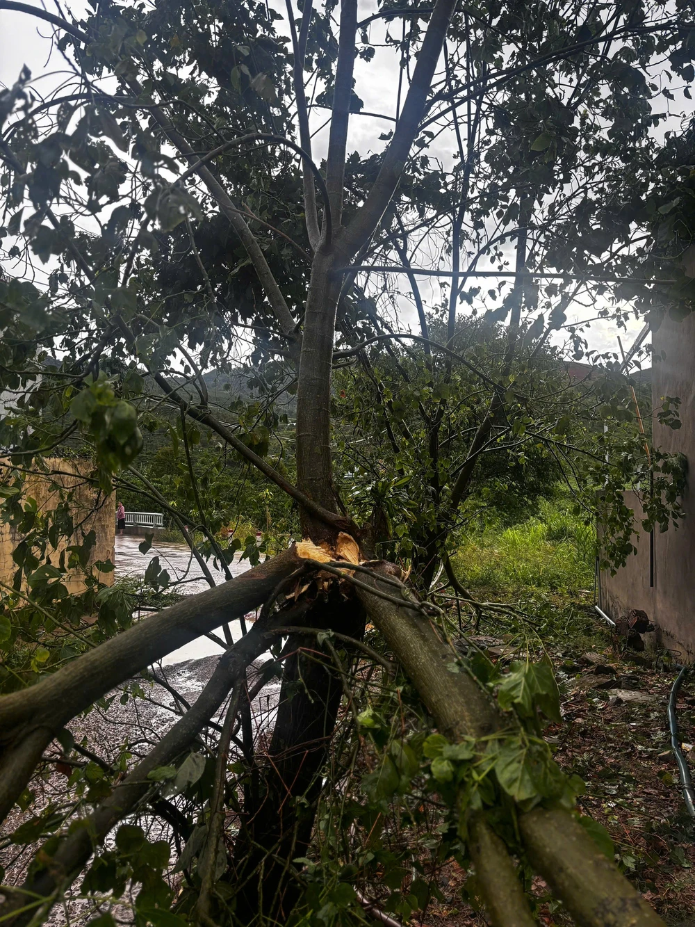 mưa đá kèm lốc xoáy (2).jpg