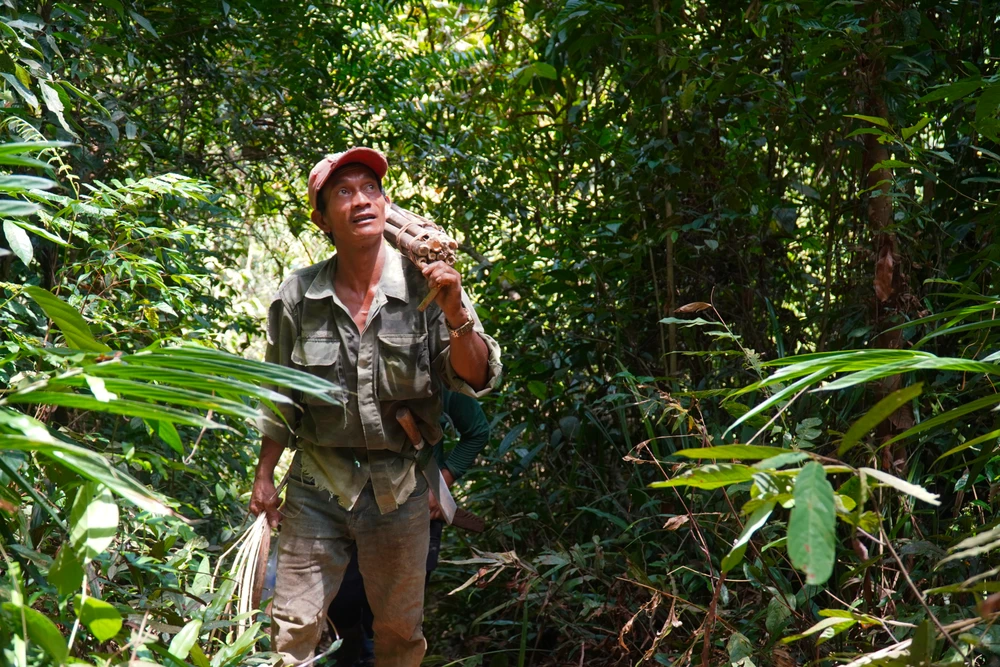 bắt ong khoái (11).jpg